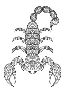 Scorpion Blank coloring pages, Scorpio color, Coloring for boys