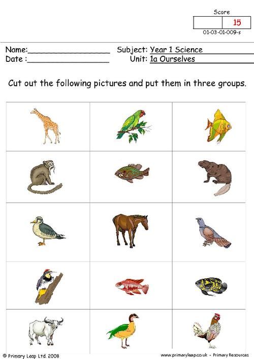 Science Worksheets For Grade 1 Animals Pdf