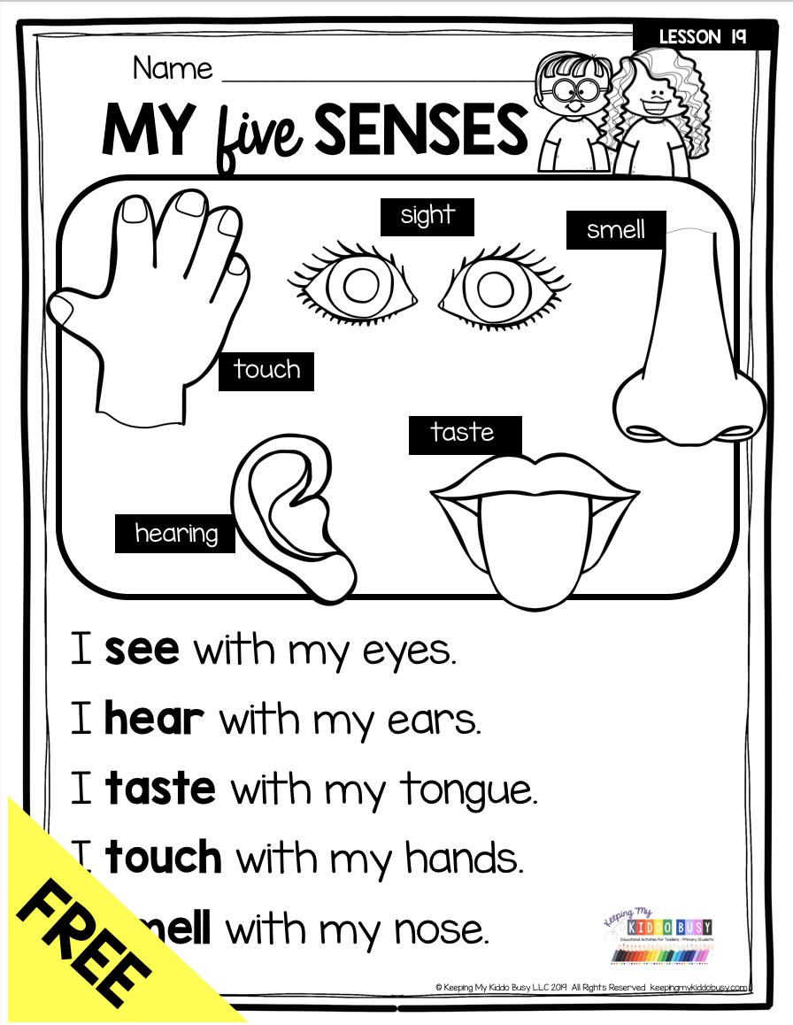 Printable Senses Worksheet For Grade 1