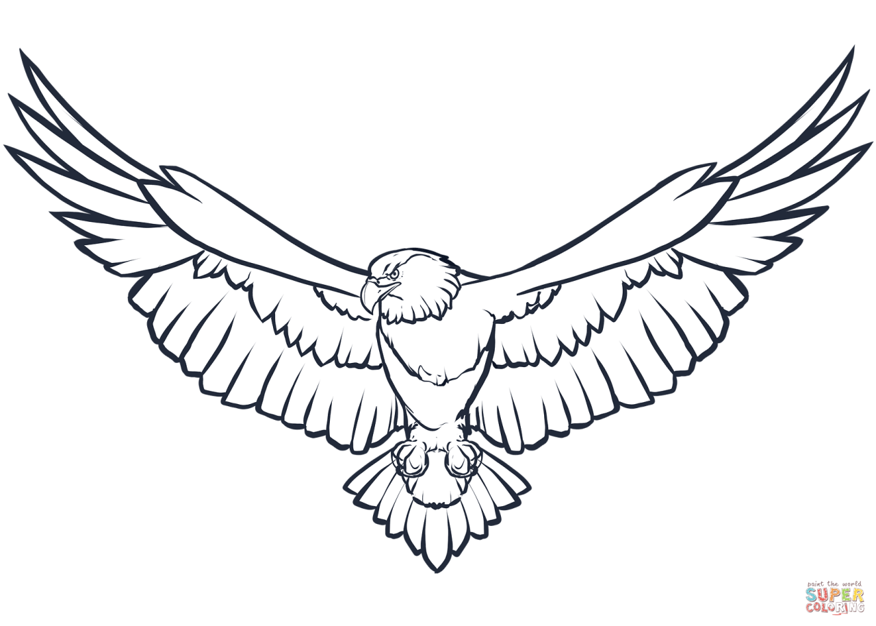 Bald Eagle coloring page Free Printable Coloring Pages