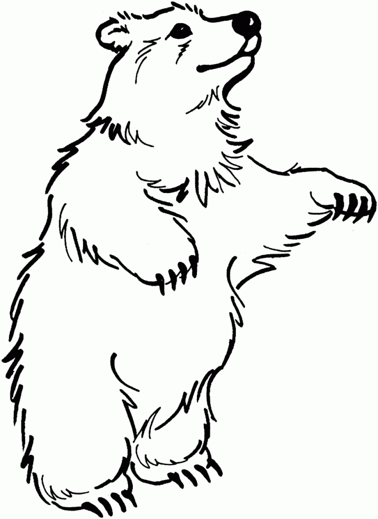 Coloring Pages Bears