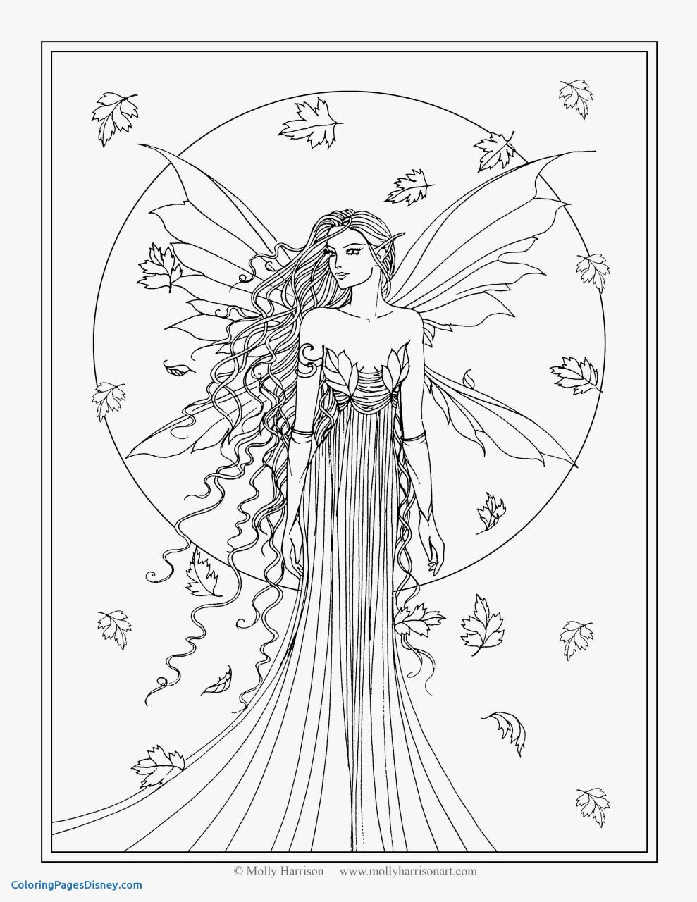 Beautiful Fairy Coloring Pages at Free printable