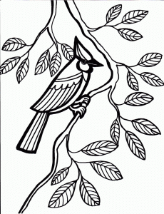 Bird Coloring Pages 321 Coloring Pages
