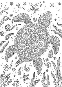 Pin by Elisabeth Quisenberry on Coloring Under The Sea Turtle