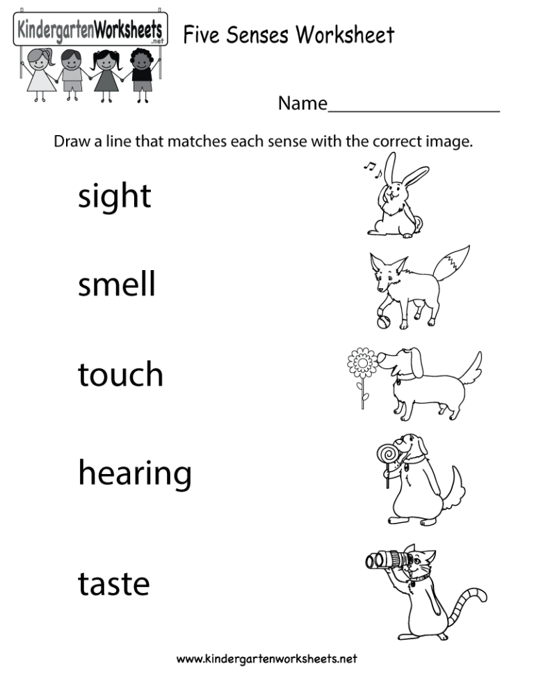5 Senses Worksheets Pdf Kindergarten