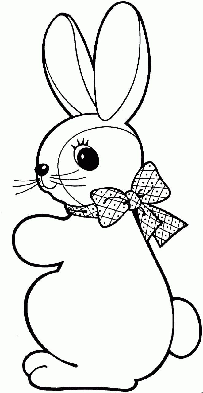 Bunny Coloring Page Free