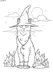 The magical cat Halloween Adult Coloring Pages