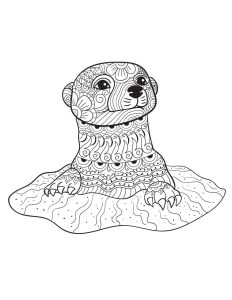 Otter Coloring Pages Kidsuki