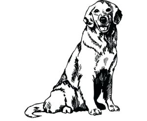 Golden Retriever Coloring Pages Best Coloring Pages For Kids Dog