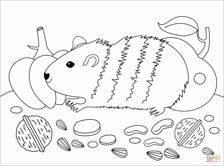 Coloring Pages Of Guinea Pigs