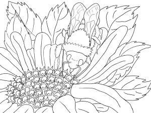 Beautiful Scenery Colouring Pages In The Playroom