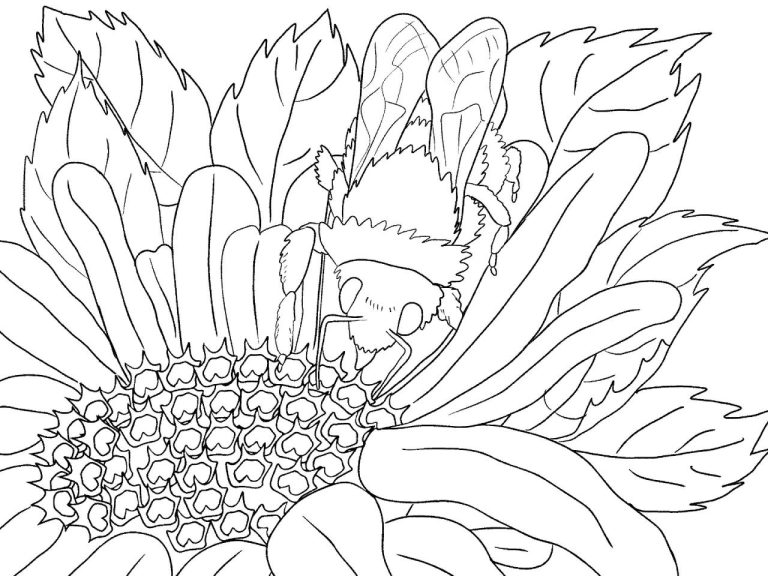 Beautiful Coloring Pages