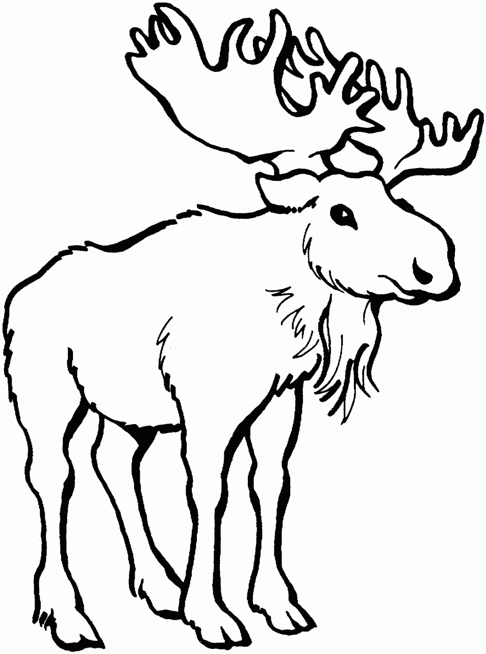 Coloring Page Moose