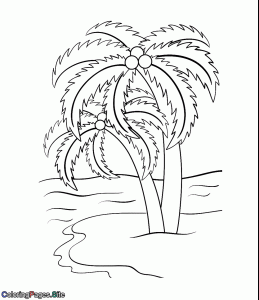 Beautiful palm tree online coloring page drawing for kids