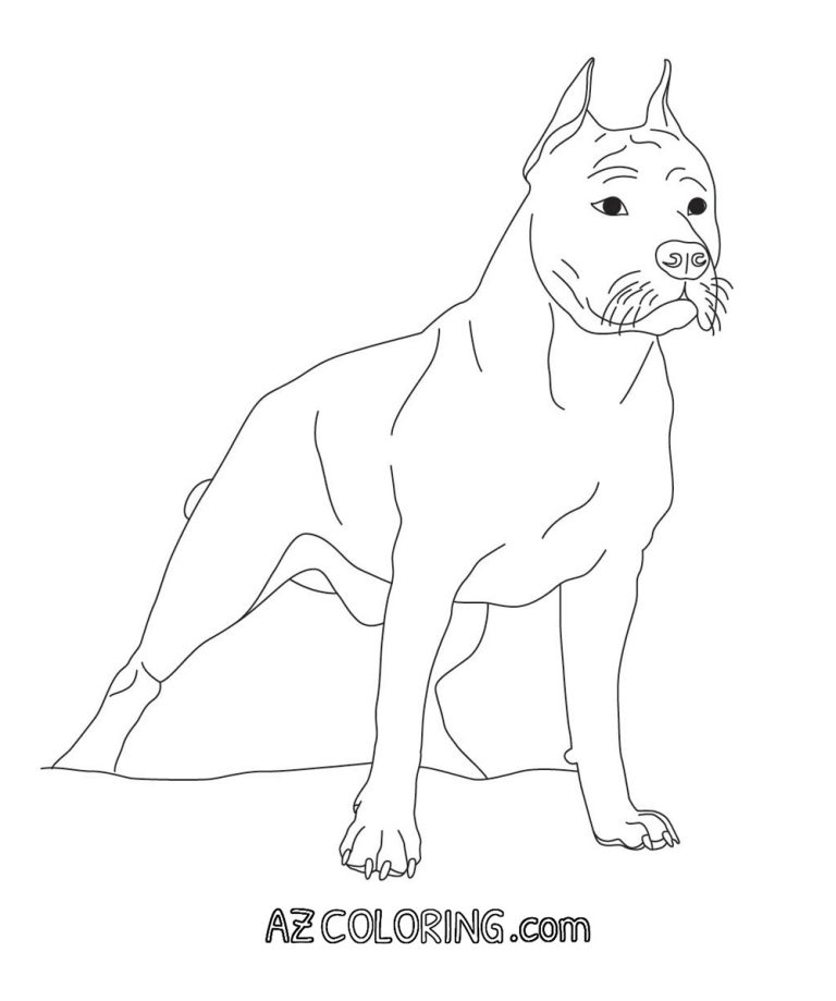 Pitbull Coloring Pages