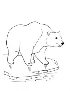 Get This Polar Bear Coloring Pages to Print Online lj8rr