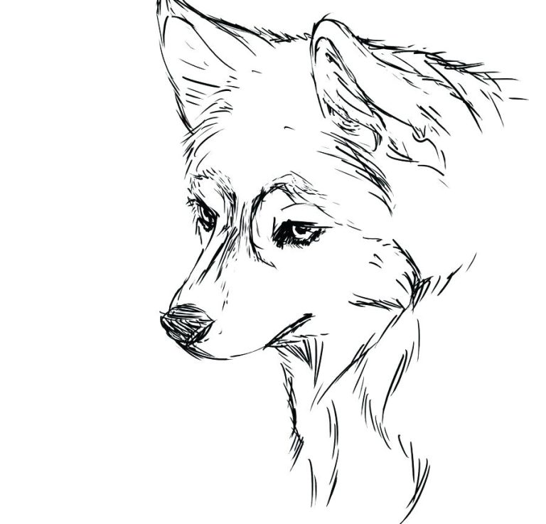 Coloring Pages Of Huskies