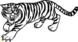 Siberian Tiger Coloring Page at Free printable
