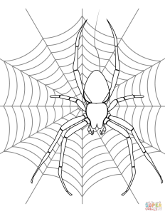 Realistic Spider Coloring Pages Free Printable Spider Coloring Pages