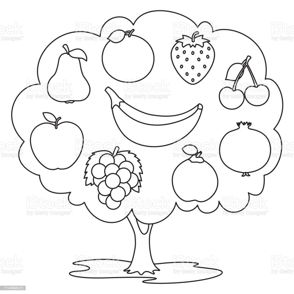 Vector Illustration Of Fruits Coloring Page Stock Illustration