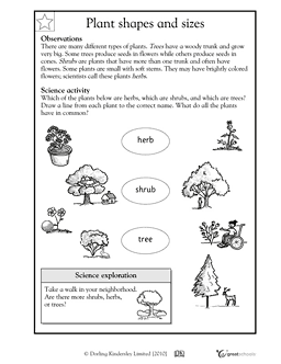 Year 2 Science Worksheets Plants