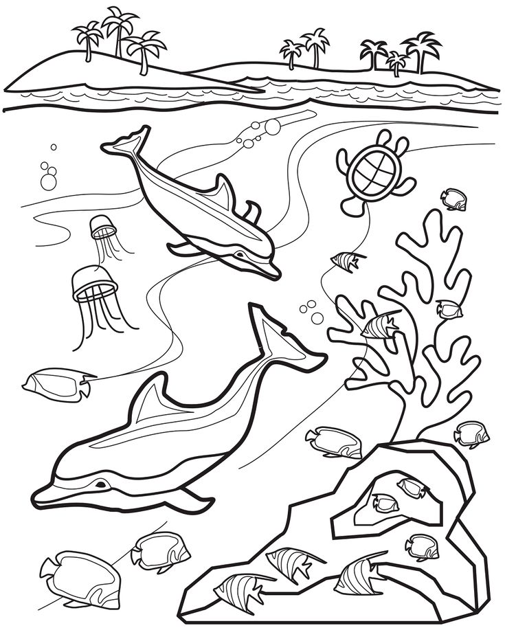 Coloring Page Under The Sea
