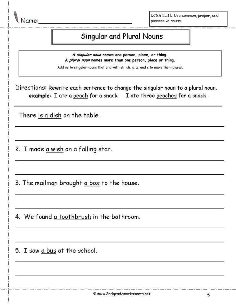 6th Grade Singular And Plural Sentences Worksheets With Answers