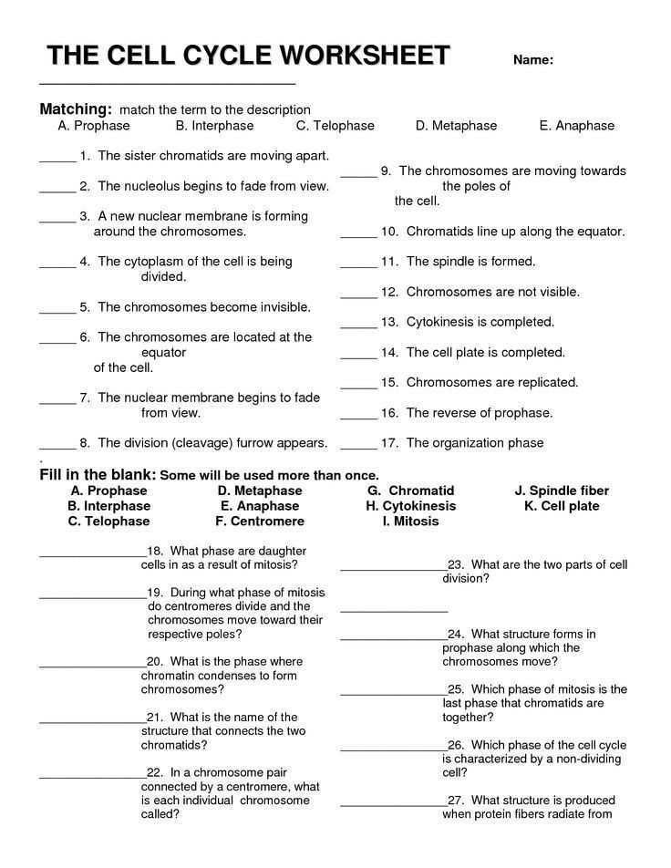 Cell Biology Worksheets With Answers