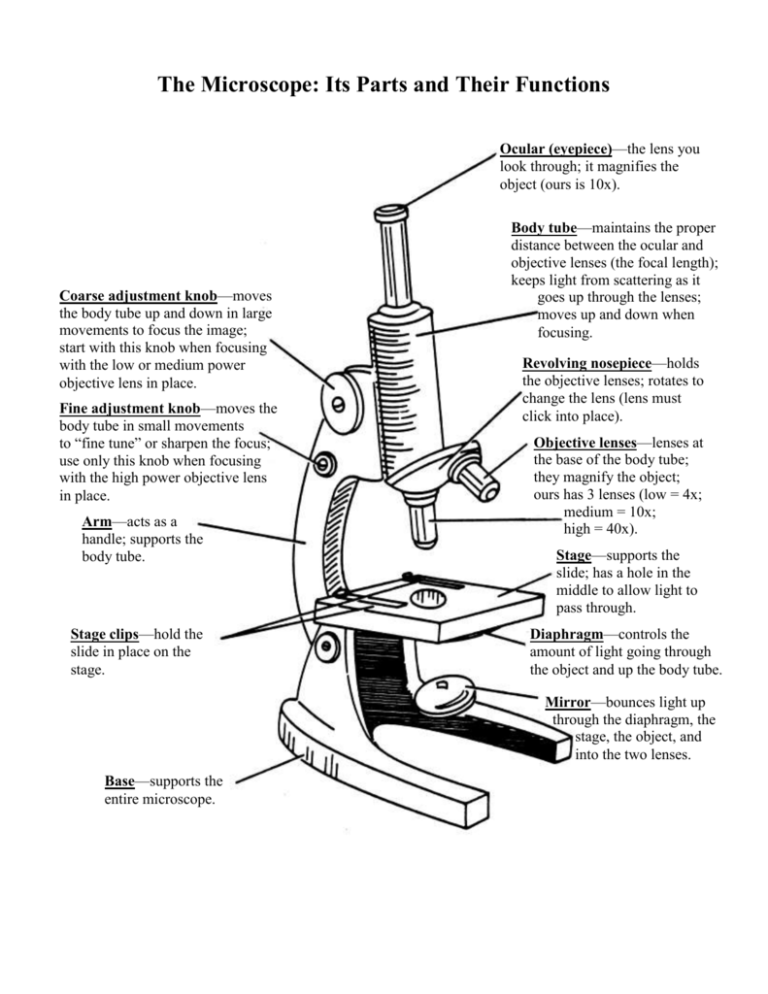 Microscope Parts Worksheet Answer Key
