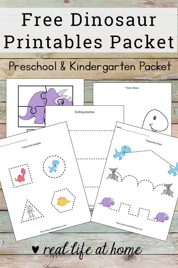 Kindergarten Dinosaur Worksheets Pdf