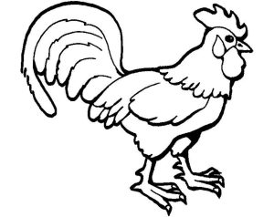 Rooster Coloring Pages For Kids Rooster Coloring Pages. 2017