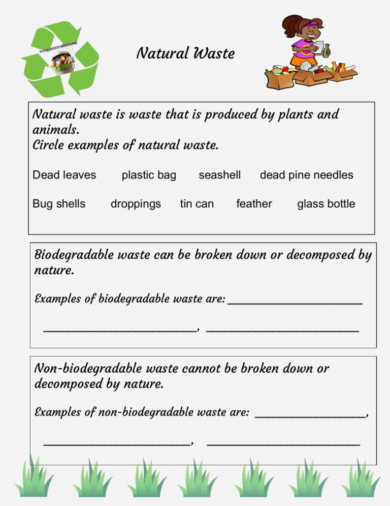 4th Grade Printable Grade 4 Natural Science Worksheets