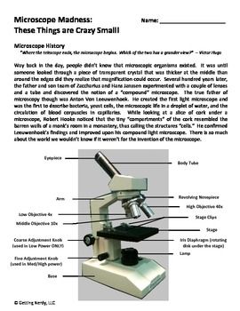 The Compound Microscope Worksheet Answer Key