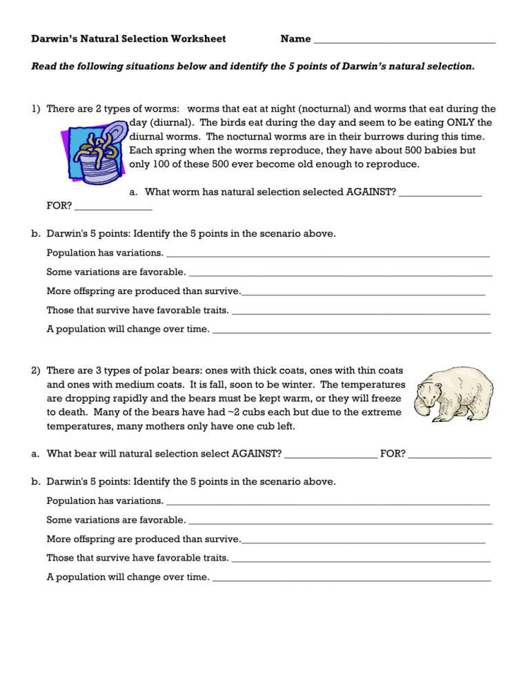 Evolution By Natural Selection Worksheet Answer Key