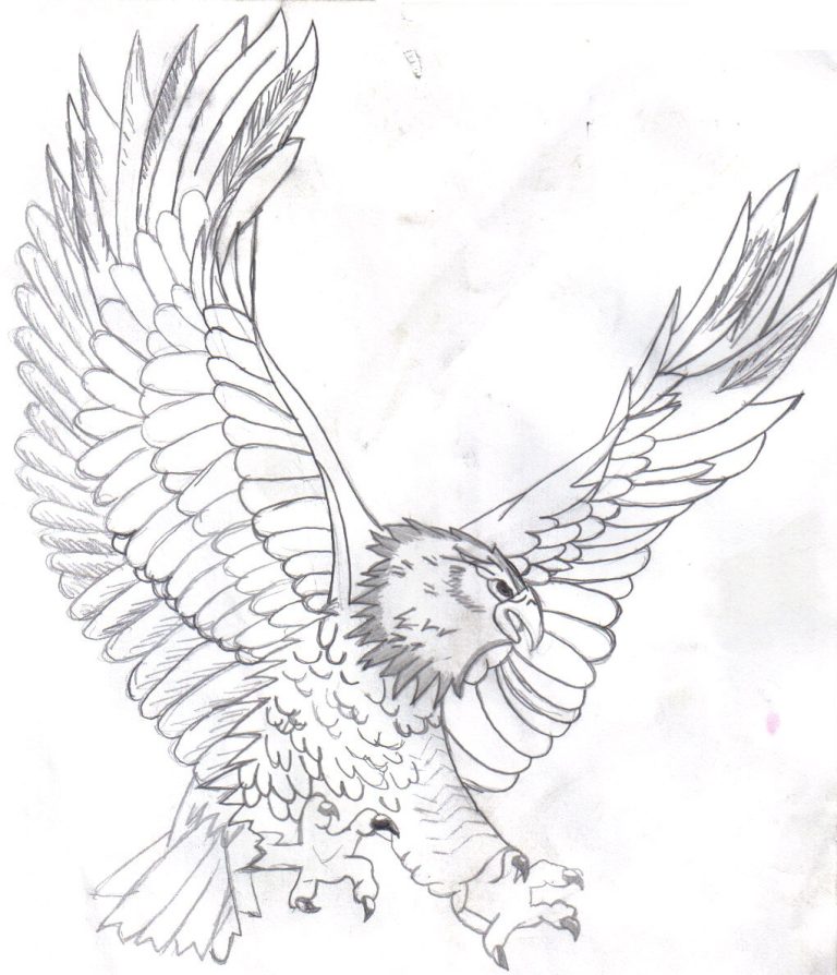 Coloring Pages Eagle