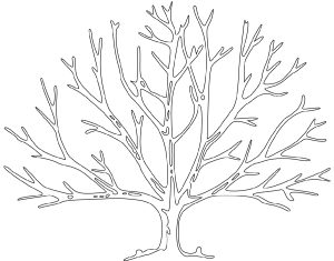 Bare Tree Coloring Page Usable K5 Worksheets