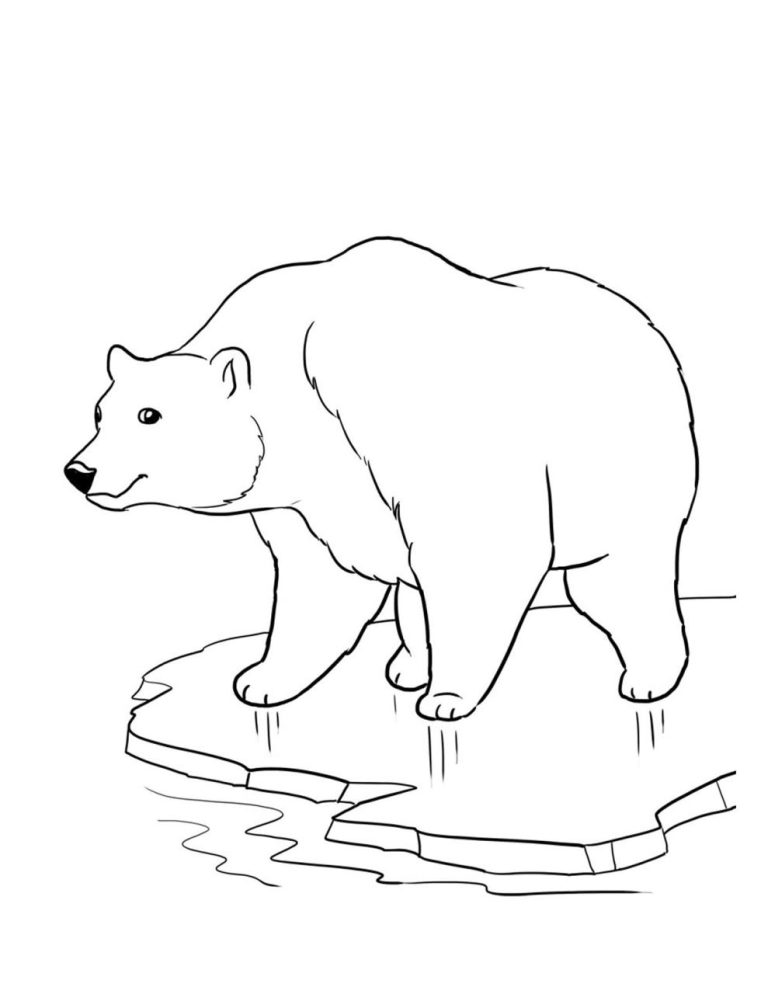Bears Coloring Pages