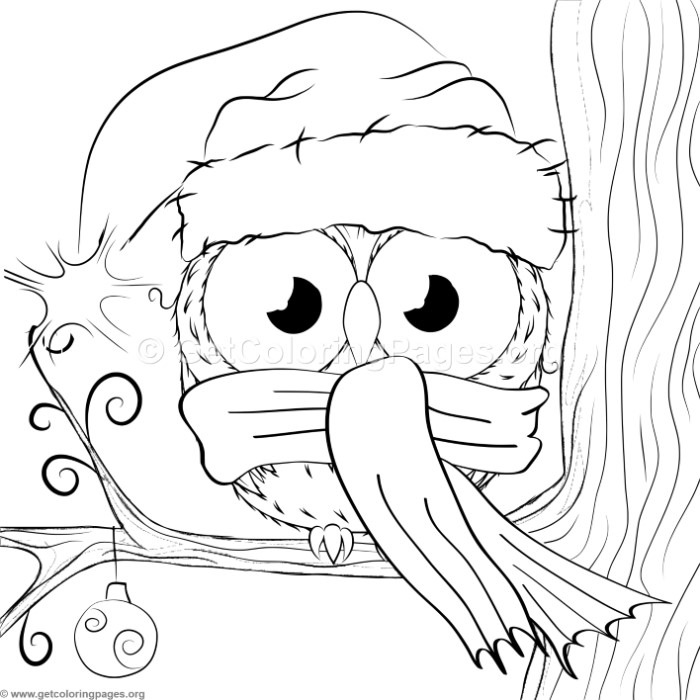 Cute Christmas Owl 1 Coloring Pages