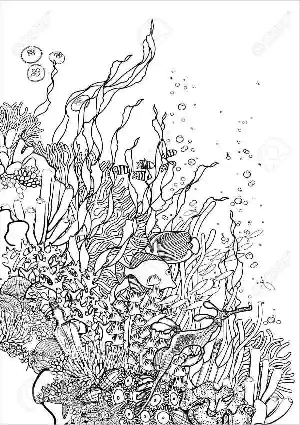 Coloring Pages Of The Sea
