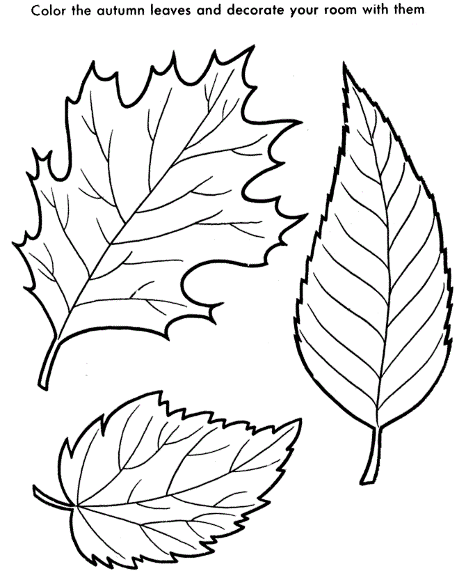 Free Leaf Coloring Pages To Print