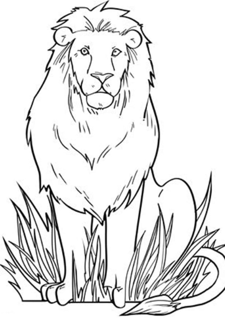 Coloring Pages Lions