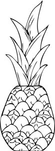 Free Printable Pineapple Coloring Pages For Kids