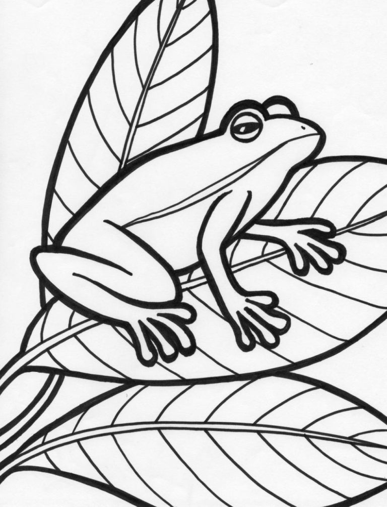 Coloring Pages Frog