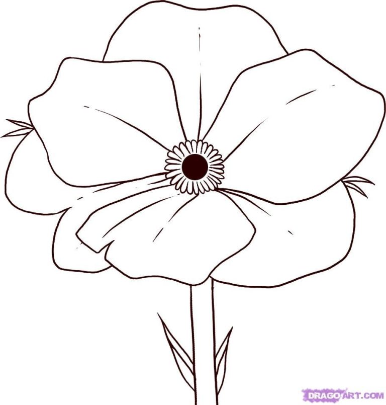 Poppies Coloring Pages