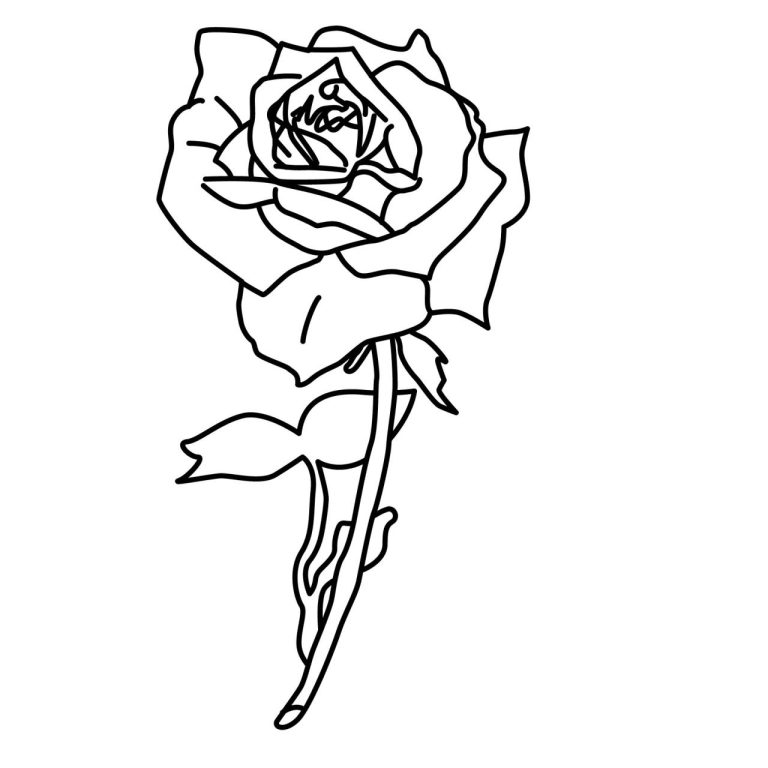 Coloring Pages Of A Rose