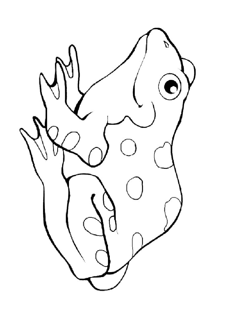 18 Toad Coloring Pages Free Printable Coloring Pages