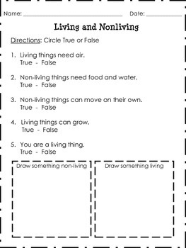 Worksheet For Class 3 Science Living And Non Living Things