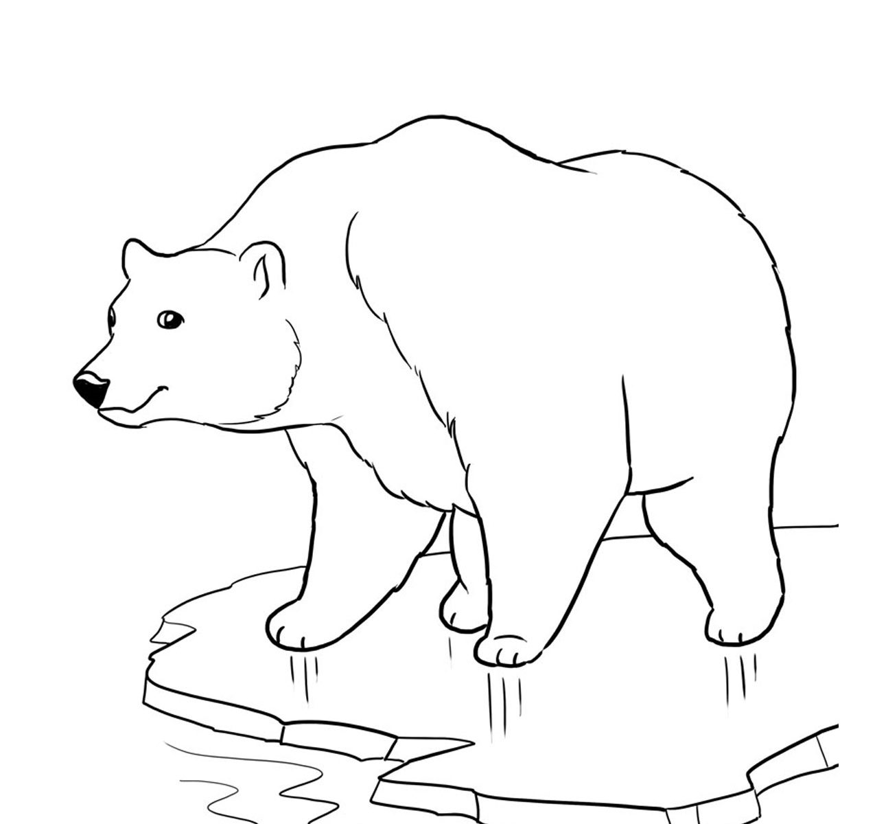 Baby Polar Bear Coloring Pages at Free printable