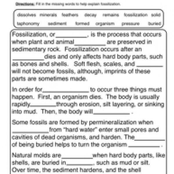 7th Grade Science Worksheets For Grade 7 With Answers