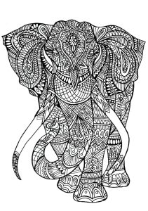 Elephant patterns Elephants Adult Coloring Pages
